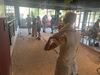 IMG 8990
